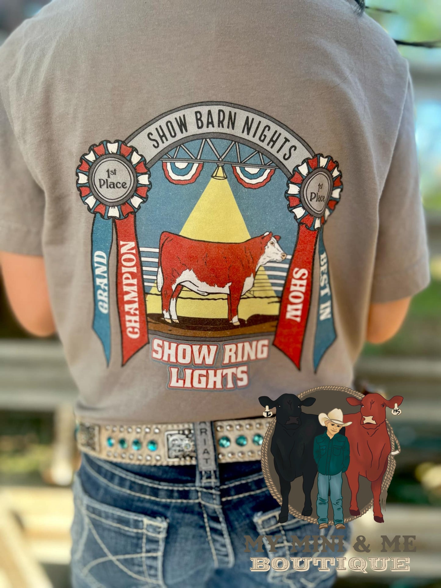 Show Ring Lights
