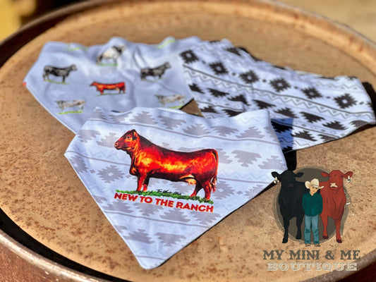 New To The Ranch Drool Bib Set