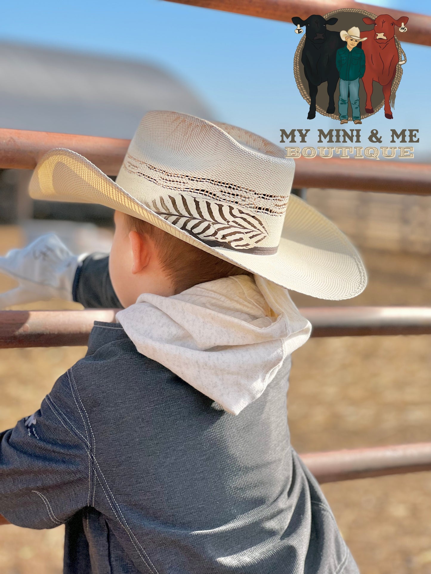 Hat Trim Feathers